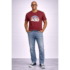 Levi's Men's Graphic T-Shirt Medium Burgundy Mountain Logo Tee‎